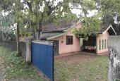 A House In Ranala